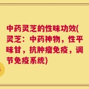 中药灵芝的性味功效(灵芝：中药神物，性平味甘，抗肿瘤免疫，调节免疫系统)