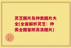 灵芝图片及种类图片大全(全面解析灵芝：种类全图鉴附高清图片)