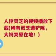 人挖灵芝的视频播放下载(稀有灵芝遭铲除，大妈哭晕在地！)