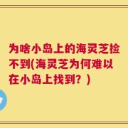 为啥小岛上的海灵芝捡不到(海灵芝为何难以在小岛上找到？)