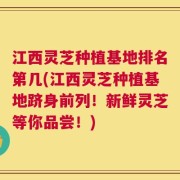 江西灵芝种植基地排名第几(江西灵芝种植基地跻身前列！新鲜灵芝等你品尝！)