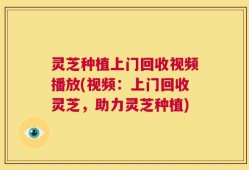 灵芝种植上门回收视频播放(视频：上门回收灵芝，助力灵芝种植)