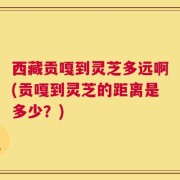 西藏贡嘎到灵芝多远啊(贡嘎到灵芝的距离是多少？)