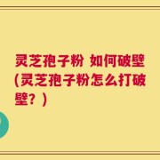 灵芝孢子粉 如何破壁(灵芝孢子粉怎么打破壁？)