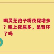喝灵芝孢子粉夜尿增多？晚上夜尿多，是肾坏了吗