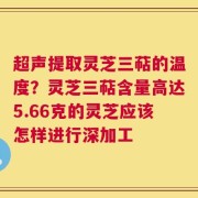 超声提取灵芝三萜的温度？灵芝三萜含量高达5.66克的灵芝应该怎样进行深加工