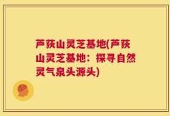 芦荻山灵芝基地(芦荻山灵芝基地：探寻自然灵气泉头源头)