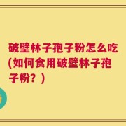 破壁林子孢子粉怎么吃(如何食用破壁林子孢子粉？)