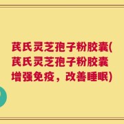 芪氏灵芝孢子粉胶囊(芪氏灵芝孢子粉胶囊 增强免疫，改善睡眠)