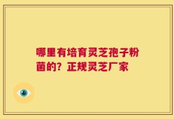 哪里有培育灵芝孢子粉菌的？正规灵芝厂家