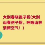 大别春晓孢子粉(大别山春孢子粉，呼吸山林清新空气！)