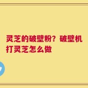 灵芝的破壁粉？破壁机打灵芝怎么做