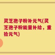 灵芝孢子粉补元气(灵芝孢子粉能量补给，重拾元气)