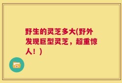 野生的灵芝多大(野外发现巨型灵芝，超重惊人！)