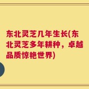 东北灵芝几年生长(东北灵芝多年耕种，卓越品质惊艳世界)