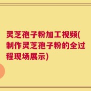 灵芝孢子粉加工视频(制作灵芝孢子粉的全过程现场展示)