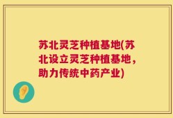 苏北灵芝种植基地(苏北设立灵芝种植基地，助力传统中药产业)