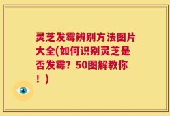 灵芝发霉辨别方法图片大全(如何识别灵芝是否发霉？50图解教你！)