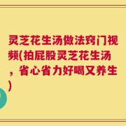 灵芝花生汤做法窍门视频(拍屁股灵芝花生汤，省心省力好喝又养生)