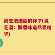 灵芝泡酒后的样子(灵芝酒：醇香味道尽显精华)