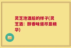 灵芝泡酒后的样子(灵芝酒：醇香味道尽显精华)