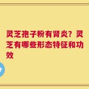 灵芝孢子粉有肾炎？灵芝有哪些形态特征和功效