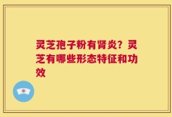 灵芝孢子粉有肾炎？灵芝有哪些形态特征和功效