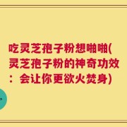 吃灵芝孢子粉想啪啪(灵芝孢子粉的神奇功效：会让你更欲火焚身)