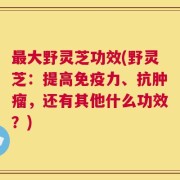最大野灵芝功效(野灵芝：提高免疫力、抗肿瘤，还有其他什么功效？)