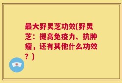 最大野灵芝功效(野灵芝：提高免疫力、抗肿瘤，还有其他什么功效？)