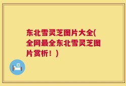 东北雪灵芝图片大全(全网最全东北雪灵芝图片赏析！)