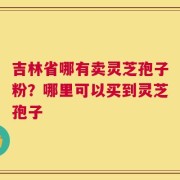 吉林省哪有卖灵芝孢子粉？哪里可以买到灵芝孢子