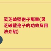 灵芝破壁孢子那里(灵芝破壁孢子的功效及用法介绍)