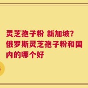 灵芝孢子粉 新加坡？俄罗斯灵芝孢子粉和国内的哪个好