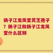 扬子江龙凤堂灵芝孢子？扬子江和扬子江龙凤堂什么区别