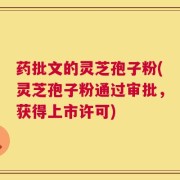 药批文的灵芝孢子粉(灵芝孢子粉通过审批，获得上市许可)