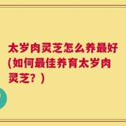 太岁肉灵芝怎么养最好(如何最佳养育太岁肉灵芝？)