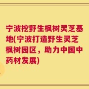 宁波挖野生枫树灵芝基地(宁波打造野生灵芝枫树园区，助力中国中药材发展)