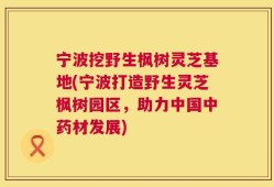 宁波挖野生枫树灵芝基地(宁波打造野生灵芝枫树园区，助力中国中药材发展)