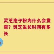 灵芝孢子粉为什么会发霉？灵芝生长时间有多长