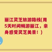 丽江灵芝旅游路线(用5天时间畅游丽江，亲身感受灵芝美景！)