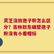灵芝没放孢子粉怎么区分？吉林敖东破壁孢子粉没有小看帽标