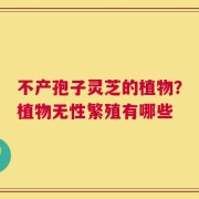 不产孢子灵芝的植物？植物无性繁殖有哪些