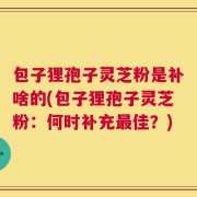 包子狸孢子灵芝粉是补啥的(包子狸孢子灵芝粉：何时补充最佳？)