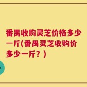 番禺收购灵芝价格多少一斤(番禺灵芝收购价多少一斤？)