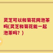 灵芝可以和菊花同泡茶吗(灵芝和菊花能一起泡茶吗？)