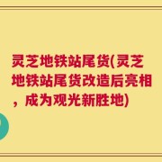 灵芝地铁站尾货(灵芝地铁站尾货改造后亮相，成为观光新胜地)