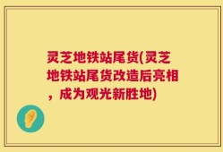 灵芝地铁站尾货(灵芝地铁站尾货改造后亮相，成为观光新胜地)