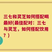 三七和灵芝如何搭配喝最好(最佳配对：三七与灵芝，如何搭配饮用？)