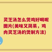灵芝汤怎么煲鸡好喝呢图片(美味又简易，鸡肉灵芝汤的煲制方法)